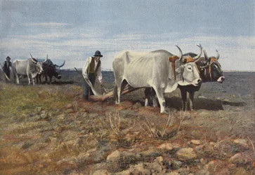 Contadini nella campagna romana